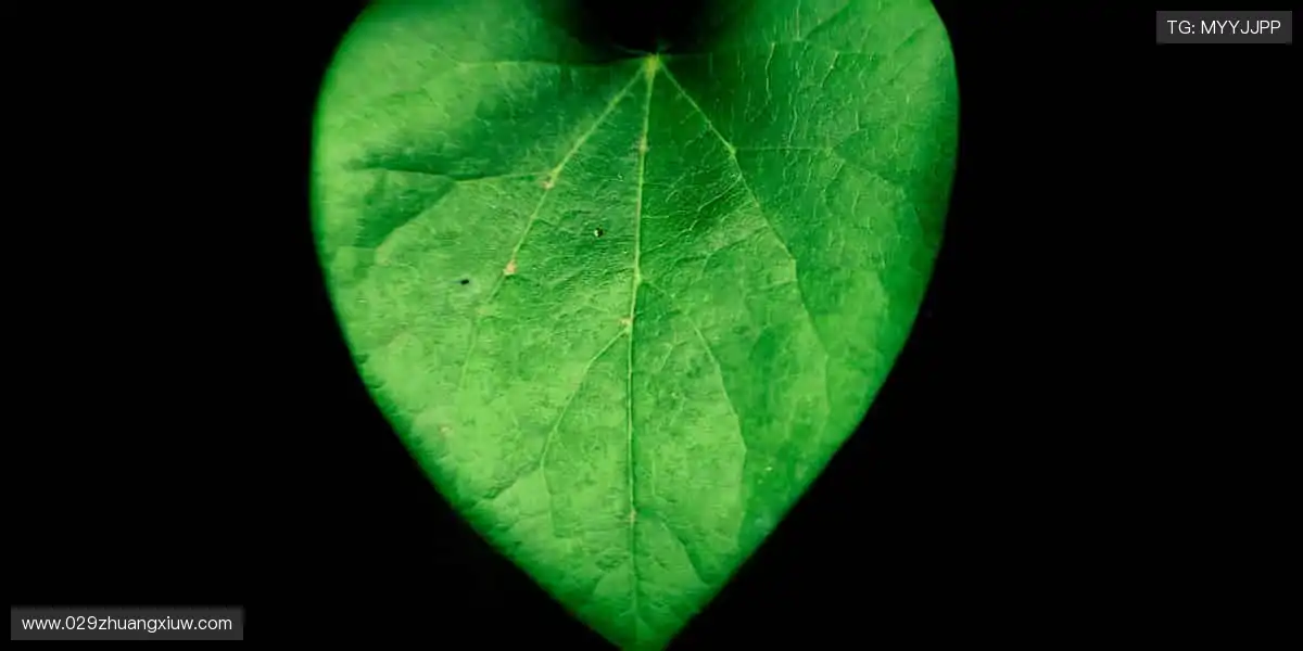 从训练场到直播间，你的热爱全程在线！📱