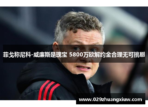 菲戈称尼科-威廉斯是瑰宝 5800万欧解约金合理无可挑剔