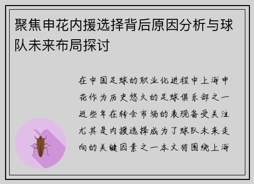 聚焦申花内援选择背后原因分析与球队未来布局探讨